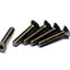 Tamiya 53538 3x16mm Titanium Countersunk Hex Head Screw, (5 Pcs.), NIP