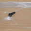 Tamiya 43504 RTR Subaru Impreza WRC 02/TGS, 7684173/17684173 Throttle Arm, NIP