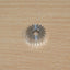 Tamiya 3545010/13545010 20T Gear, (Scania/MAN/Actros/Arcos/FH16/High-Lift), NEW