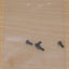 Tamiya 43529 RTR Mad Spirit/TNS-B/TNS-FD 7684462/17684462 Rear Adapter Screw (4)