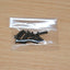 Tamiya 9805763/19805763 3x10mm Hex Head Screw (10 Pcs.), (TRF415/TRF416/TRF418)